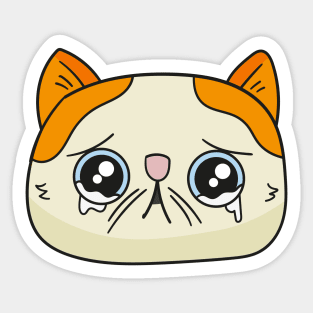 Teary eyed cat Sticker